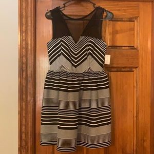 Women’s dress size 3